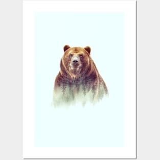 Bear picture of t-shirts Posters and Art